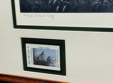 Load image into Gallery viewer, John Dearman 1998 Texas Non-Game Stamp Print With Stamp Artist Proof - Brand New Super Custom Sporting Frame