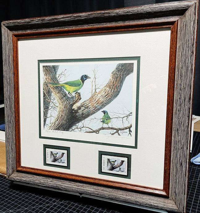 John Dearman  2003 Texas Non-Game Stamp Print With Double Stamps Artist Proof Rio Grande Jay - Brand New Custom Sporting Frame