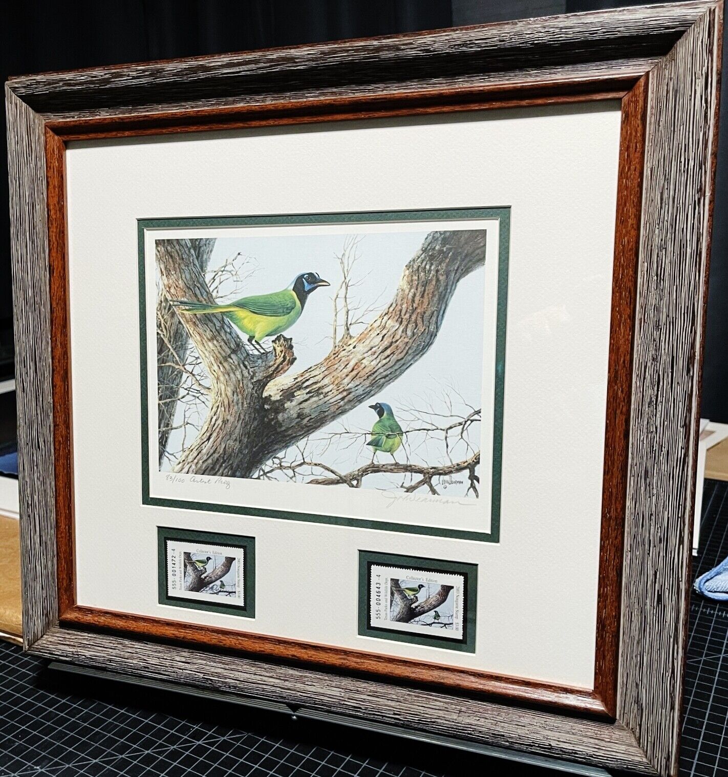 John Dearman - 2003 Texas Non-Game Stamp Print With Double Stamps Artist Proof Rio Grande Jay - Brand New Custom Sporting Frame