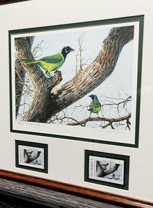 John Dearman 2003 Texas Non-Game Stamp Print With Double Stamps Artist Proof Rio Grande Jay - Brand New Custom Sporting Frame