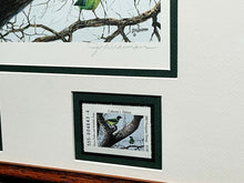 Load image into Gallery viewer, John Dearman 2003 Texas Non-Game Stamp Print With Double Stamps Artist Proof Rio Grande Jay - Brand New Custom Sporting Frame