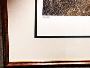 John Dearman Clear Covey Lithograph With Rare Pointer Remarque - Brand New Custom Sporting Frame