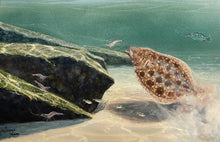 Load image into Gallery viewer, John Dearman Flounder 2020 GiClee Half Sheet Coastal Conservation Association CCA - Brand New Super Custom Sporting Frame