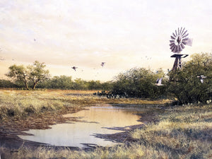 John Dearman - Mourning Dove On The Move - Original Water Color Painting - Brand New Custom Sporting Frame