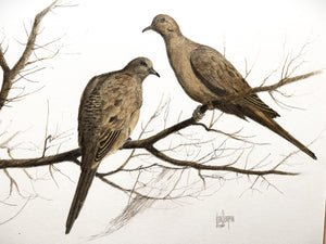 John Dearman -Mourning Doves - Original Watercolor Painting - Brand New Custom Sporting Frame