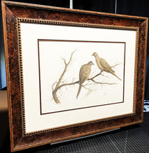 Load image into Gallery viewer, John Dearman -Mourning Doves - Original Watercolor Painting - Brand New Custom Sporting Frame