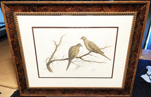 Load image into Gallery viewer, John Dearman -Mourning Doves - Original Watercolor Painting - Brand New Custom Sporting Frame
