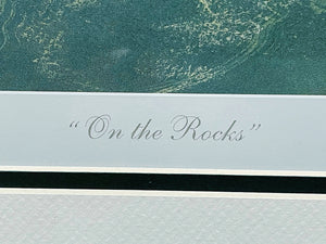 John Dearman On The Rocks Lithograph Artist Proof - Brand New Custom Sporting Frame