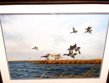 Load image into Gallery viewer, John Dearman Greenwing Teal Original Watercolor Painting Full Sheet Year 1987 - Brand New Super Custom Sporting Frame