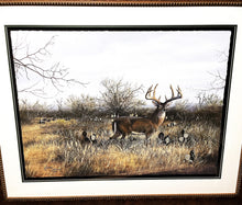 Load image into Gallery viewer, John Dearman Papa Grande GiClee Full Sheet - Brand New Super Custom Sporting Frame