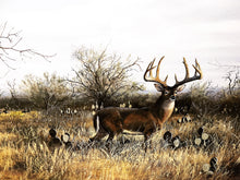 Load image into Gallery viewer, John Dearman Papa Grande GiClee Full Sheet - Brand New Super Custom Sporting Frame