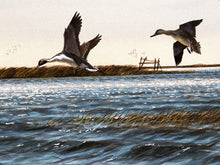Load image into Gallery viewer, John Dearman - Pintail Flats - Original Watercolor Painting - Full Sheet - Brand New Custom Sporting Frame