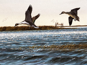John Dearman - Pintail Flats - Original Watercolor Painting - Full Sheet - Brand New Custom Sporting Frame