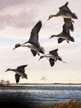 Load image into Gallery viewer, John Dearman - Pintail Flats - Original Watercolor Painting - Full Sheet - Brand New Custom Sporting Frame