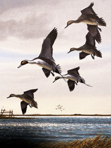 John Dearman - Pintail Flats - Original Watercolor Painting - Full Sheet - Brand New Custom Sporting Frame
