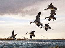 Load image into Gallery viewer, John Dearman - Pintail Flats - Original Watercolor Painting - Full Sheet - Brand New Custom Sporting Frame