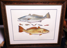 Load image into Gallery viewer, John Dearman Recuerdos GiClee Full Sheet Speckled Trout, Redfish &amp; Lures -  Brand New Super Custom Sporting Frame