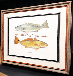 John Dearman Recuerdos GiClee 3/4 Sheet Speckled Trout, Red & Lures - Brand New Custom Sporting Frame  ***  SPRING SPECIAL  ***