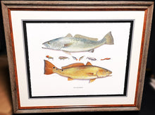 Load image into Gallery viewer, John Dearman Receurdos GiClee 3/4 Sheet - Speckled Trout, Red &amp; Lures - Brand New Custom Sporting Frame  **  SPRING SPECIAL  **