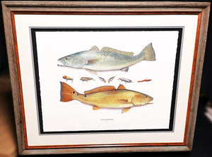 John Dearman Receurdos GiClee 3/4 Sheet - Speckled Trout, Red & Lures - Brand New Custom Sporting Frame  **  SPRING SPECIAL  **