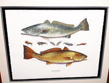 Load image into Gallery viewer, John Dearman Recuerdos GiClee 3/4 Sheet Speckled Trout, Red &amp; Lures - Brand New Custom Sporting Frame  ***  SPRING SPECIAL  ***