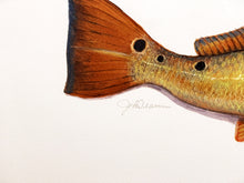 Load image into Gallery viewer, John Dearman Recuerdos GiClee 3/4Sheet Speckled Trout, Redfish &amp; Lures -  Un-Framed