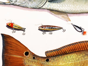 John Dearman Recuerdos GiClee 3/4 Sheet Speckled Trout, Red & Lures - Brand New Custom Sporting Frame  ***  SPRING SPECIAL  ***