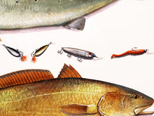 Load image into Gallery viewer, John Dearman Recuerdos GiClee 3/4Sheet Speckled Trout, Redfish &amp; Lures -  Un-Framed