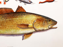 Load image into Gallery viewer, John Dearman Recuerdos GiClee 3/4Sheet Speckled Trout, Redfish &amp; Lures -  Un-Framed