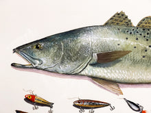 Load image into Gallery viewer, John Dearman Recuerdos GiClee 3/4Sheet Speckled Trout, Redfish &amp; Lures -  Un-Framed