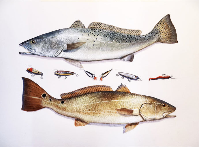 John Dearman Recuerdos GiClee 3/4Sheet Speckled Trout, Redfish & Lures -  Un-Framed