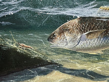 Load image into Gallery viewer, John Dearman Redfish 2008 GiClee Half Sheet - Brand New Custom Sporting Frame,