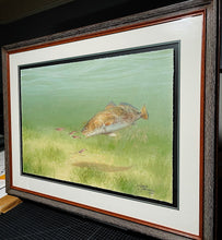 Load image into Gallery viewer, John Dearman Redfish 2014 GiClee Full Sheet - Brand New Super Custom Sporting Frame