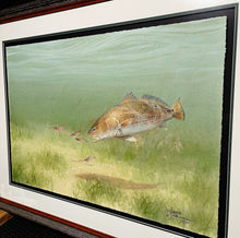 Load image into Gallery viewer, John Dearman Redfish 2014 GiClee Full Sheet - Brand New Custom Sporting Frame