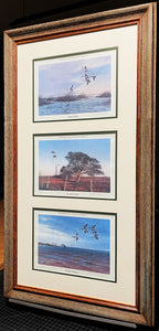 John Dearman 1986 Coastal Conservation Association CCA Matched Triple Set Series- Brand New Custom Sporting Frame