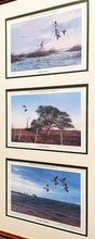 Load image into Gallery viewer, John Dearman 1986 Coastal Conservation Association CCA Matched Triple Set Series- Brand New Super Custom Sporting Frame