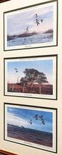 Load image into Gallery viewer, John Dearman 1986 Coastal Conservation Association CCA Matched Triple Set Series- Brand New Custom Sporting Frame