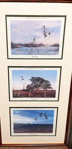 John Dearman 1986 Coastal Conservation Association CCA Matched Triple Set Series- Brand New Custom Sporting Frame