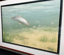 Load image into Gallery viewer, John Dearman Trout 2014 GiClee Full Sheet - Brand New Super Custom Sporting Frame