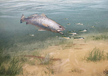 Load image into Gallery viewer, John Dearman Trout 2014 GiClee Full Sheet - Brand New Super Custom Sporting Frame