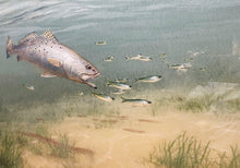 Load image into Gallery viewer, John Dearman Trout 2014 GiClee Full Sheet - Brand New Super Custom Sporting Frame