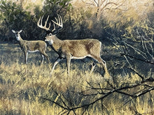 Load image into Gallery viewer, John Dearman &quot;Whitetail 2020&quot; Number 1 Of Series GiClee Half Sheet - Coastal Conservation Association CCA - Brand New Custom Sporting Frame