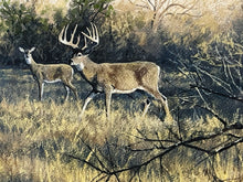 Load image into Gallery viewer, John Dearman Whitetail 2020 GiClee Half Sheet Number 1 Of Series - Coastal Conservation Association CCA - Brand New Custom Sporting Frame