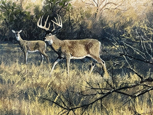 John Dearman "Whitetail 2020" Number 1 Of Series GiClee Half Sheet - Coastal Conservation Association CCA - Brand New Custom Sporting Frame