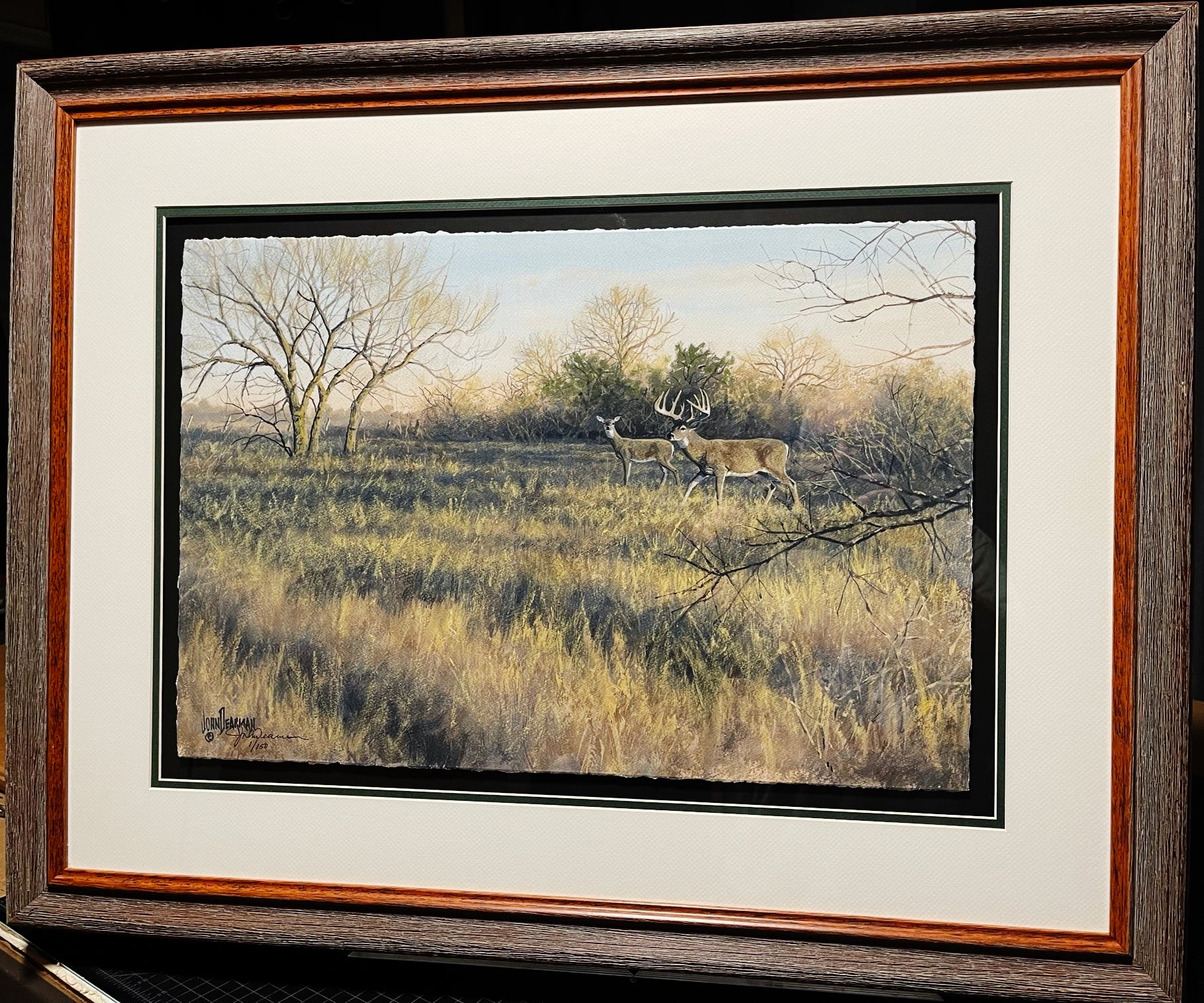 John Dearman Whitetail 2020 GiClee Half Sheet Number 1 Of Series - Coastal Conservation Association CCA - Brand New Custom Sporting Frame