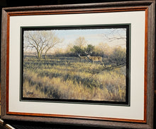 Load image into Gallery viewer, John Dearman &quot;Whitetail 2020&quot; Number 1 Of Series GiClee Half Sheet - Coastal Conservation Association CCA - Brand New Custom Sporting Frame