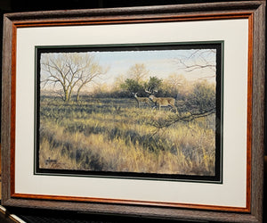 John Dearman "Whitetail 2020" Number 1 Of Series GiClee Half Sheet - Coastal Conservation Association CCA - Brand New Custom Sporting Frame