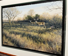 Load image into Gallery viewer, John Dearman Whitetail 2020 GiClee Half Sheet Number 1 Of Series - Coastal Conservation Association CCA - Brand New Custom Sporting Frame