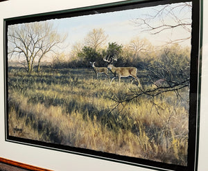 John Dearman Whitetail 2020 GiClee Half Sheet Number 1 Of Series - Coastal Conservation Association CCA - Brand New Custom Sporting Frame