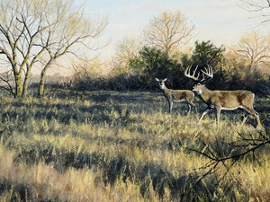 John Dearman Whitetail 2020 GiClee Half Sheet Number 1 Of Series - Coastal Conservation Association CCA - Brand New Custom Sporting Frame